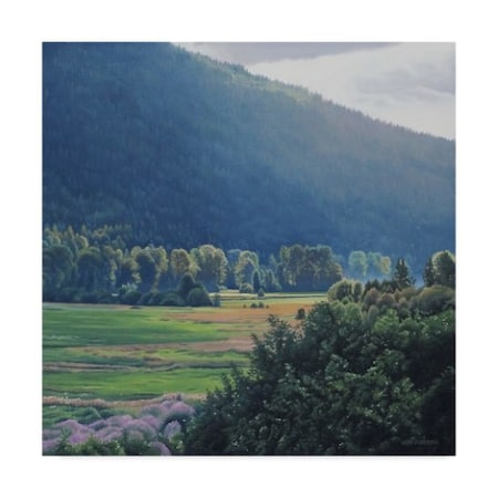 Ron Parker 'St Marys Valley' Canvas Art,24x24